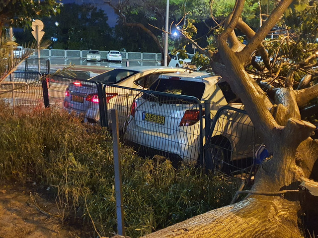 Шторм, дерево упало на машину в МЦ "Барзилай"