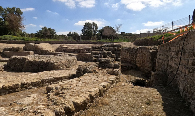 Раскопки в Ашкелоне