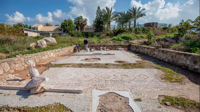 Реставрация мозаичного пола в Ашкелоне