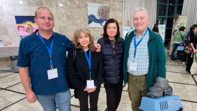 Энтузиасты, подкармливающие уличных кошек