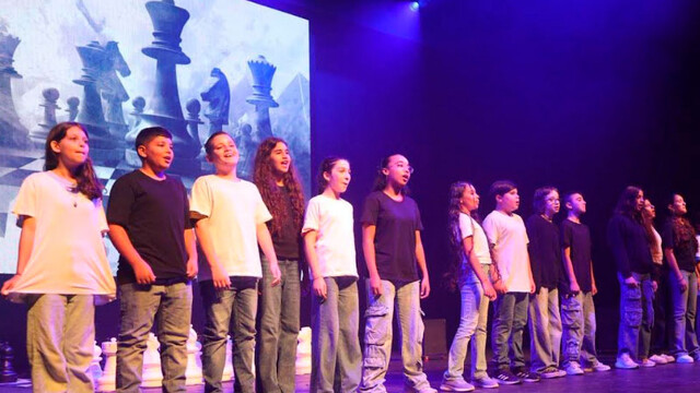 «Социальные шахматы – преодоление стигматизации за игровым столом»