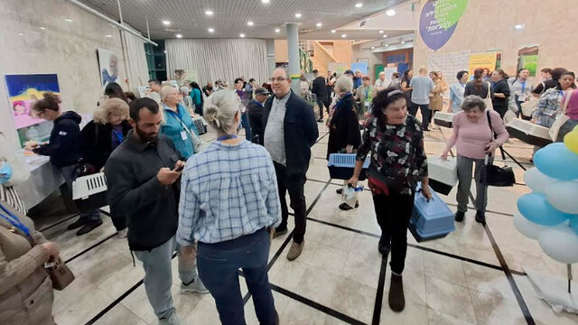 Энтузиасты, подкармливающие уличных кошек