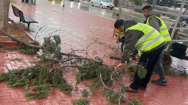 Профессиональная работа муниципальных служб в штормовую погоду