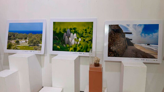 Фотовыставка, запечатлевшая достопримечательности и ландшафты Ашкелона