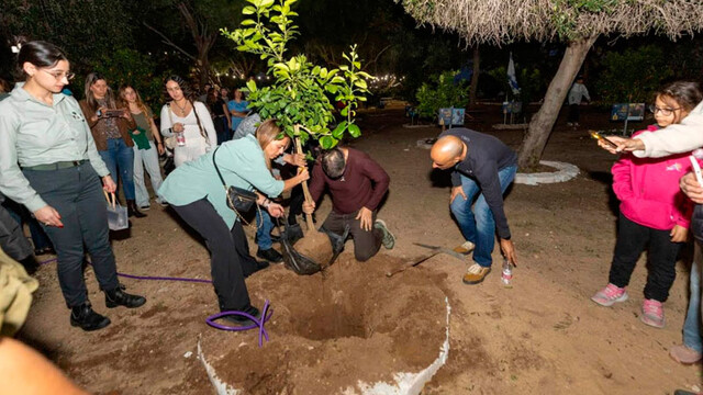 Дерево памяти и увековечения героев