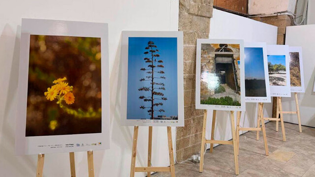 Фотовыставка, запечатлевшая достопримечательности и ландшафты Ашкелона