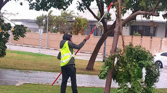 Профессиональная работа муниципальных служб в штормовую погоду