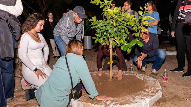 Дерево памяти и увековечения героев
