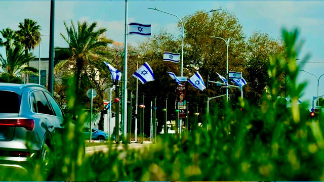 Флаги над городом